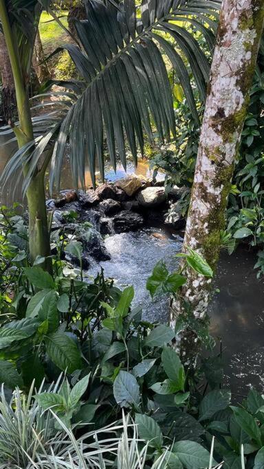 Chale De Madeira Com Vista O Rio *
